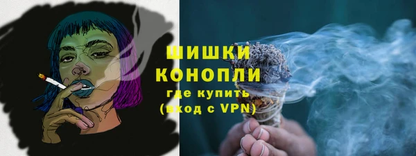 индика Бронницы